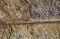 IMG_4560