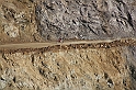 IMG_4625