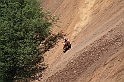 IMG_4848