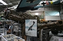 IMG_2935