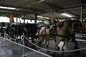 IMG_2995