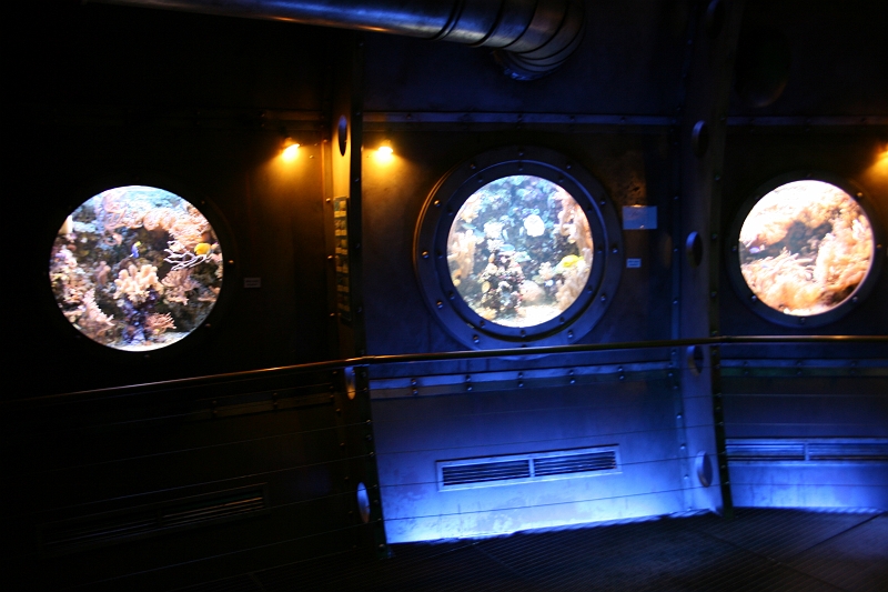 IMG_2731