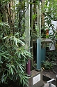 IMG_2723