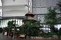 IMG_2555