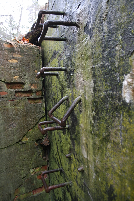 IMG_9771
