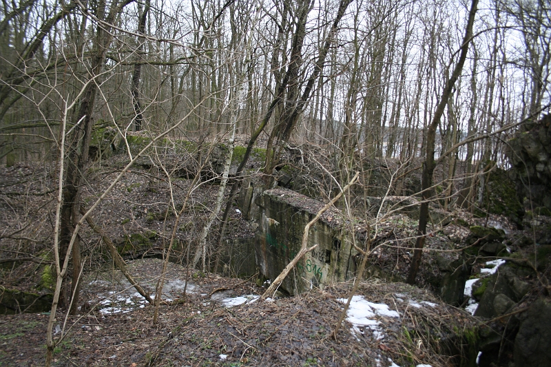 IMG_9874