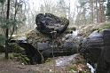 IMG_0003
