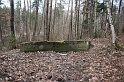 IMG_0009