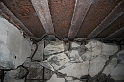 IMG_9780
