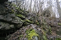 IMG_9801