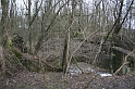 IMG_9875