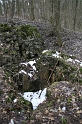 IMG_9878