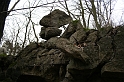 IMG_9881