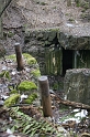 IMG_9886