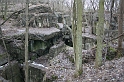 IMG_9888