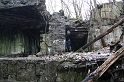 IMG_9905