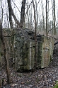 IMG_9907