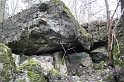 IMG_9908