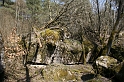 IMG_1001