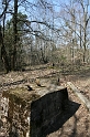 IMG_1006