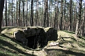 IMG_1022