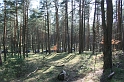 IMG_1028