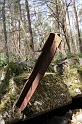 IMG_1377