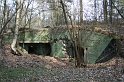 IMG_1441