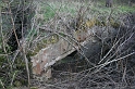 IMG_1447