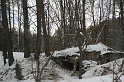 IMG_9317