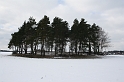 IMG_9384