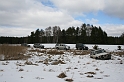 IMG_9536