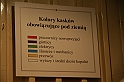 IMG_1675