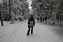 IMG_1774