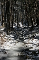 IMG_1777
