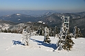 IMG_1802