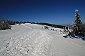 IMG_1808