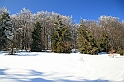 IMG_1812