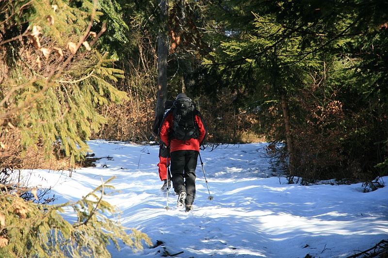 IMG_1832