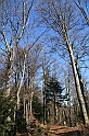 IMG_1845