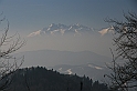 IMG_1850