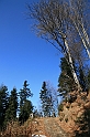 IMG_1851