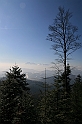 IMG_1859
