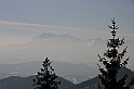IMG_1865
