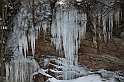IMG_1899