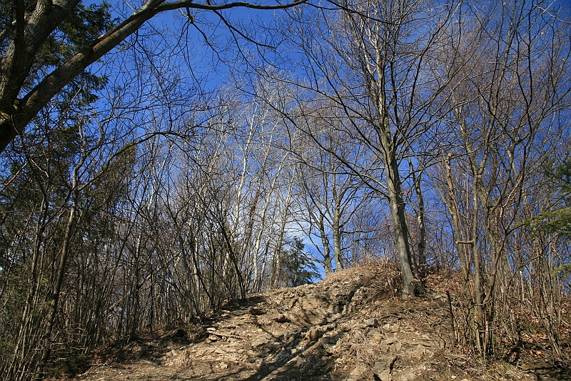 IMG_1924