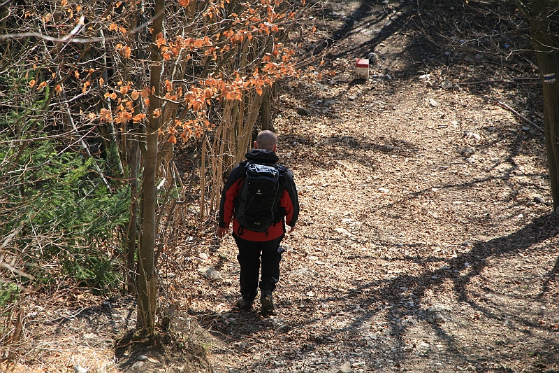 IMG_1927