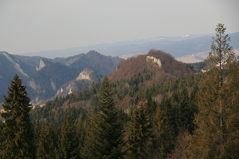 IMG_1938