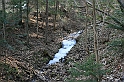 IMG_1905