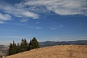 IMG_1932